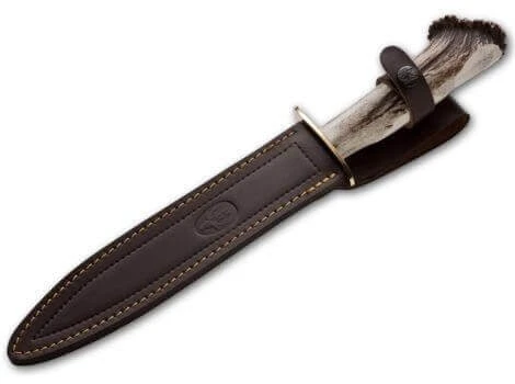 Chevreuil 4 Chevreuil – Bild 2